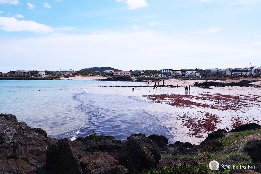 KOREA 2024: (JEJU) Udo Island Part 5: Blanc Rocher Cafe and heading back